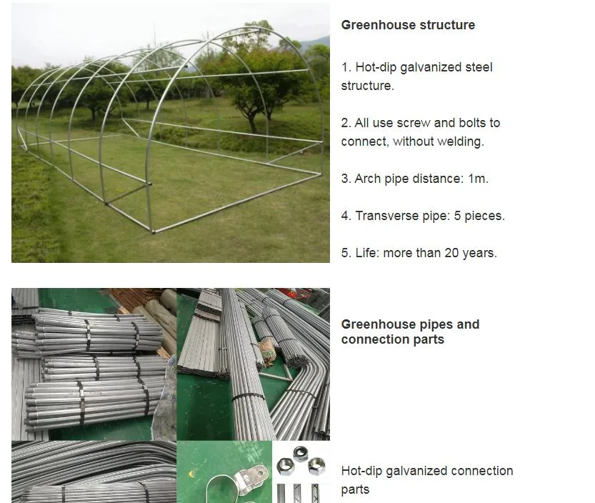 Single Span Plastic PE Film Garden Greenhouse for Agriculture