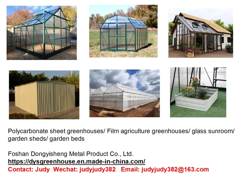 Factory Direct 10mm Polycarbonate Plastic Sheet Agricultural Mini Garden Green House