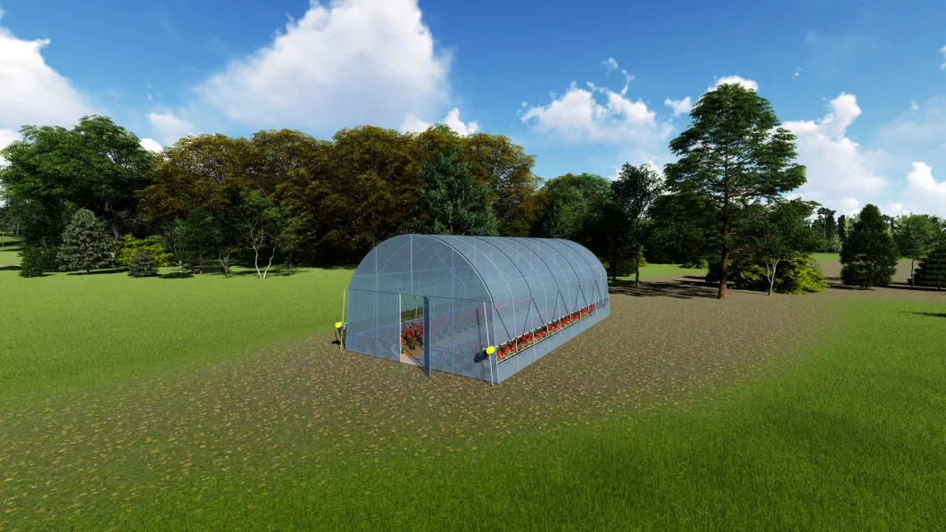 Single Span Plastic PE Film Garden Greenhouse for Agriculture