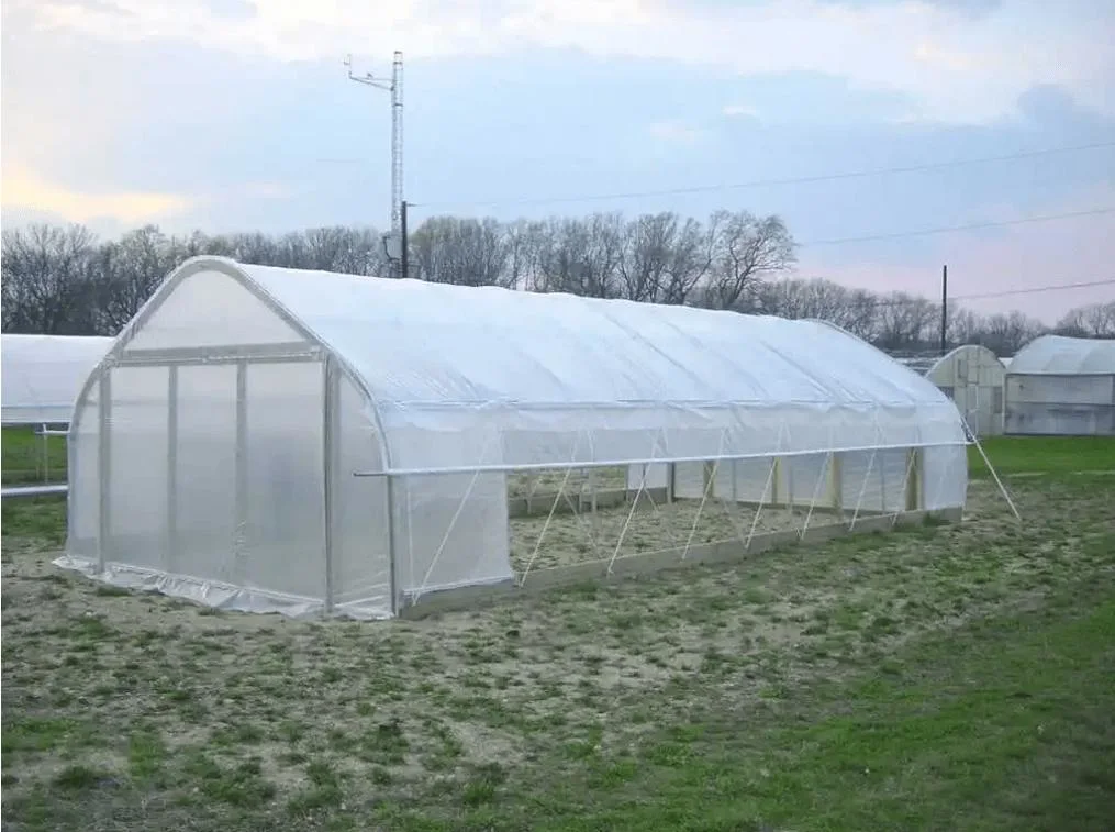 Garden Facilities Shed/Mini Outdoor Green House for Flowers