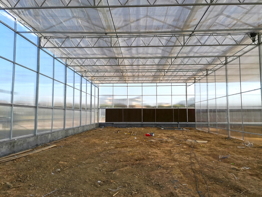 Polycarbonate Sheet Commercial Garden Eco Greenhouse with Hydroponics/ Cocopeat Planting System/ LED Grow Light System Aluminum Alloy for Agriculture/ Poultry