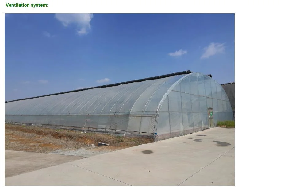 Factory Outlet Single-Span Film Garden Greenhouse in Yard