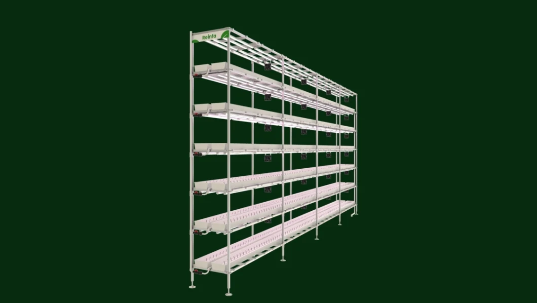 PVC Greenhouse Strawberry Hydroponic Cultivation Rack Vertical Grow System