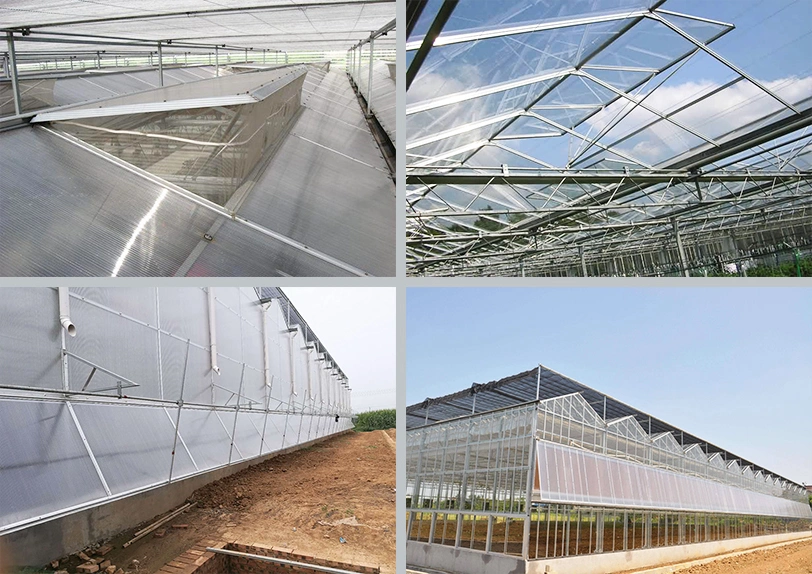 High Quality Venlo PC Greenhouse for Hydroponic Vegetables Planting