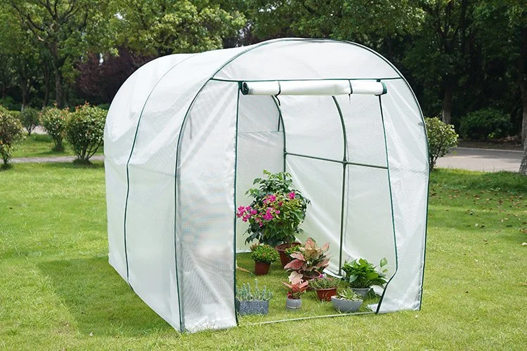 Hot Sale Vegetable Simple Hydroponic Mini Greenhouse Garden for Sale with PE Mesh Cover