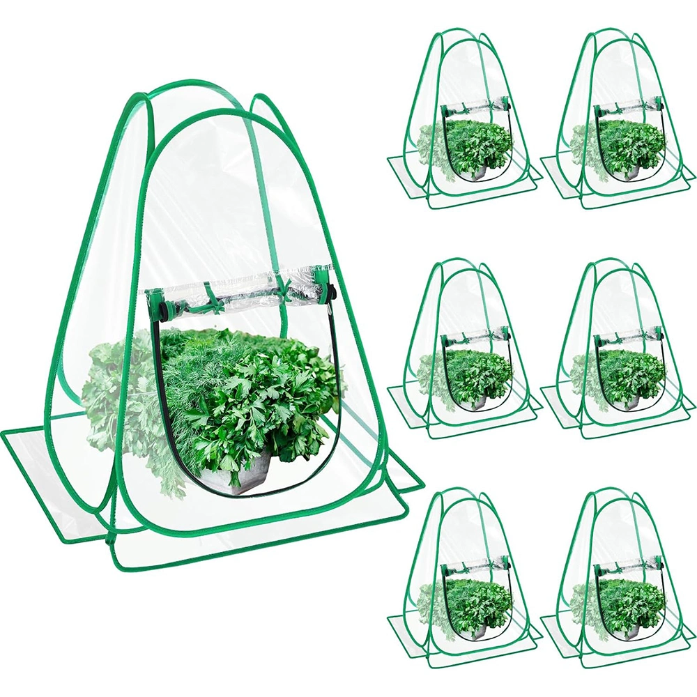 6 Pieces Mini Greenhouse Outdoor Pop up Greenhouse Cover 24 X 24 X 31 Inch Mini Gardening Sunshine Plant Flower Room