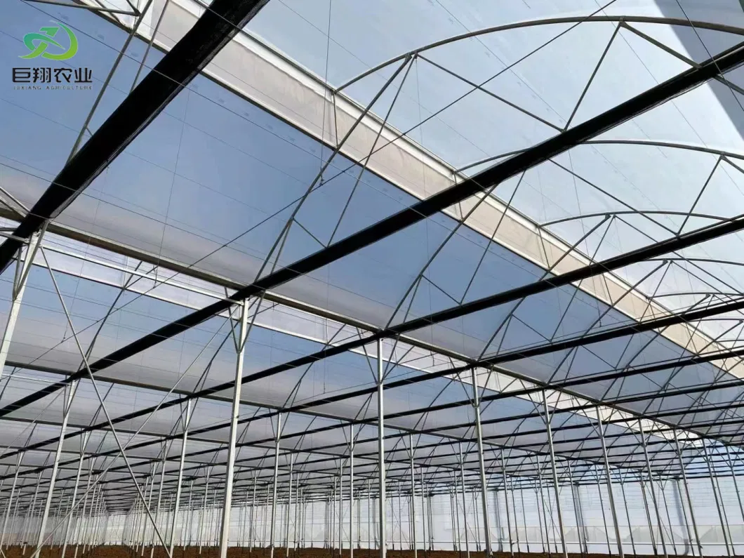 Glass Type of Venlo Greenhouse for Hydroponic Vegetables Planting