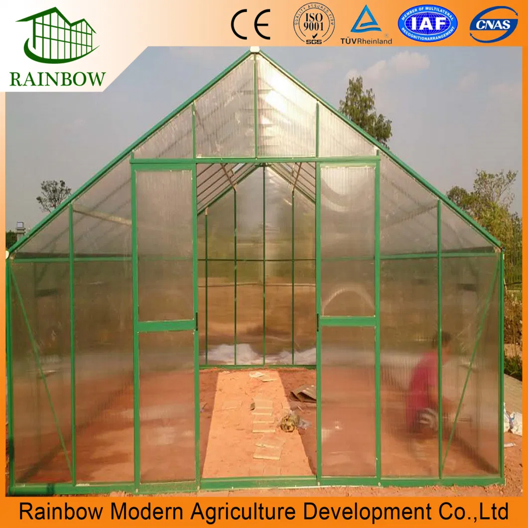 Mini Polycarbonate Greenhouse for Flower in The Yard