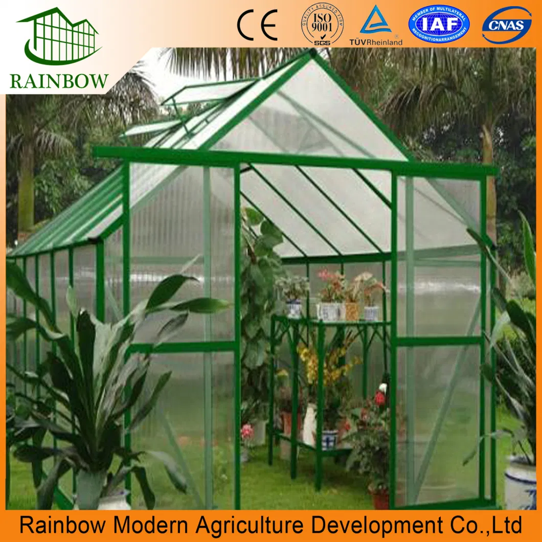 Mini Polycarbonate Greenhouse for Flower in The Yard