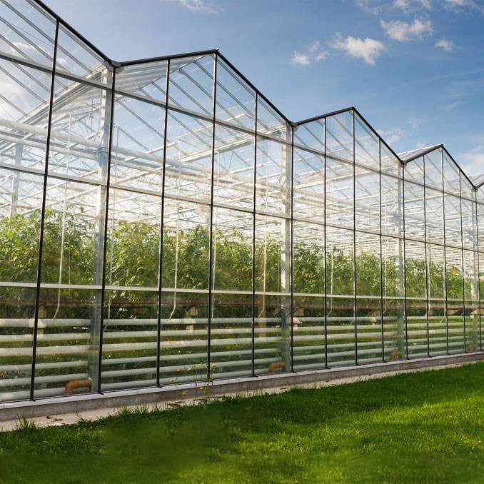 Agriculture/Commerce Multi Span Toughe Glass Green House for Vegetable/Flower/Fruits with Complete System/Hydroponic Systems/Automatic Irrigation System
