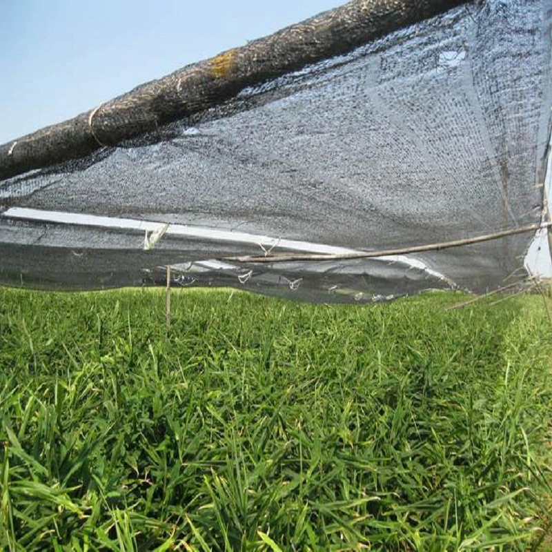 Agricultural Greenhouse Shade Net for Courtyard Roof Sun Aging Coloured Shade Netting