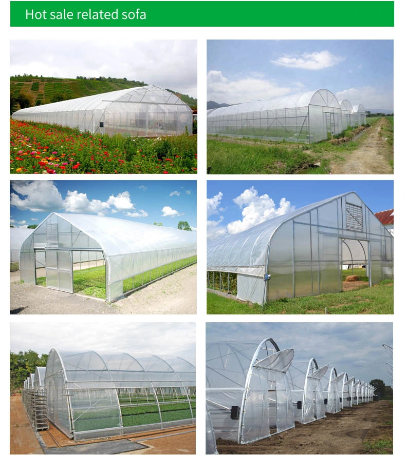 Factory Price Single Span Film Greenhouse Tunnel Mini Tomato Strawberry Hydroponics Green House for Sale