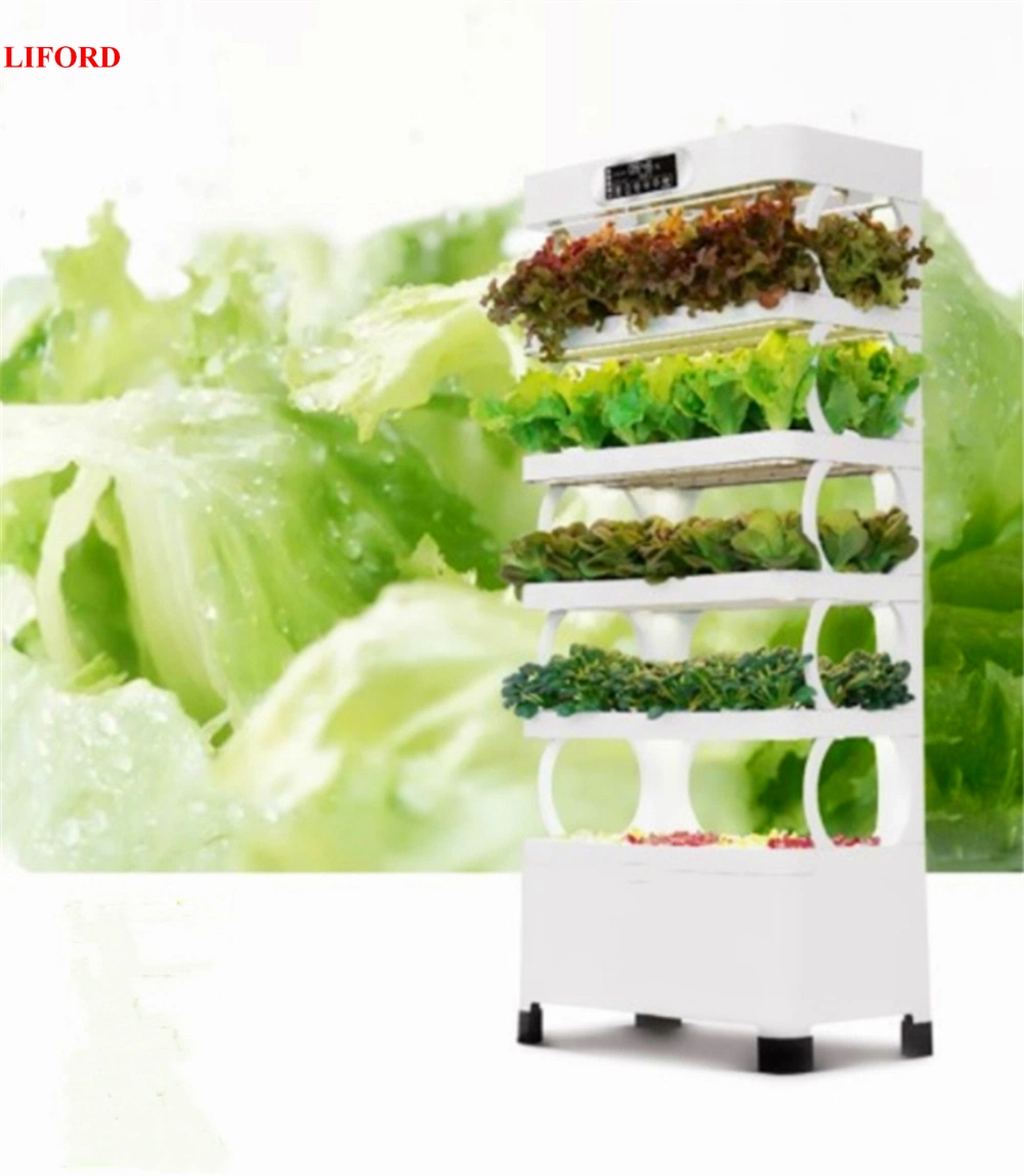 Agricultural Hydroponic System Smart Home Vertical Farming Indoor Hydroponics System for Lettuce