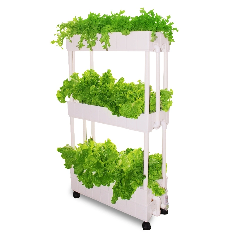 DIY Soilless Cultivation Grow Box Hydroponics System for Indoor