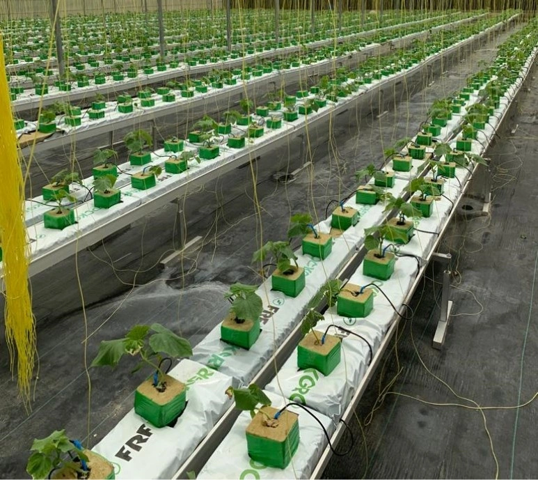 Agricultural Nft Channel Grow Bag Cultivation Channel PVC Grow Gutter Used Greenhouse