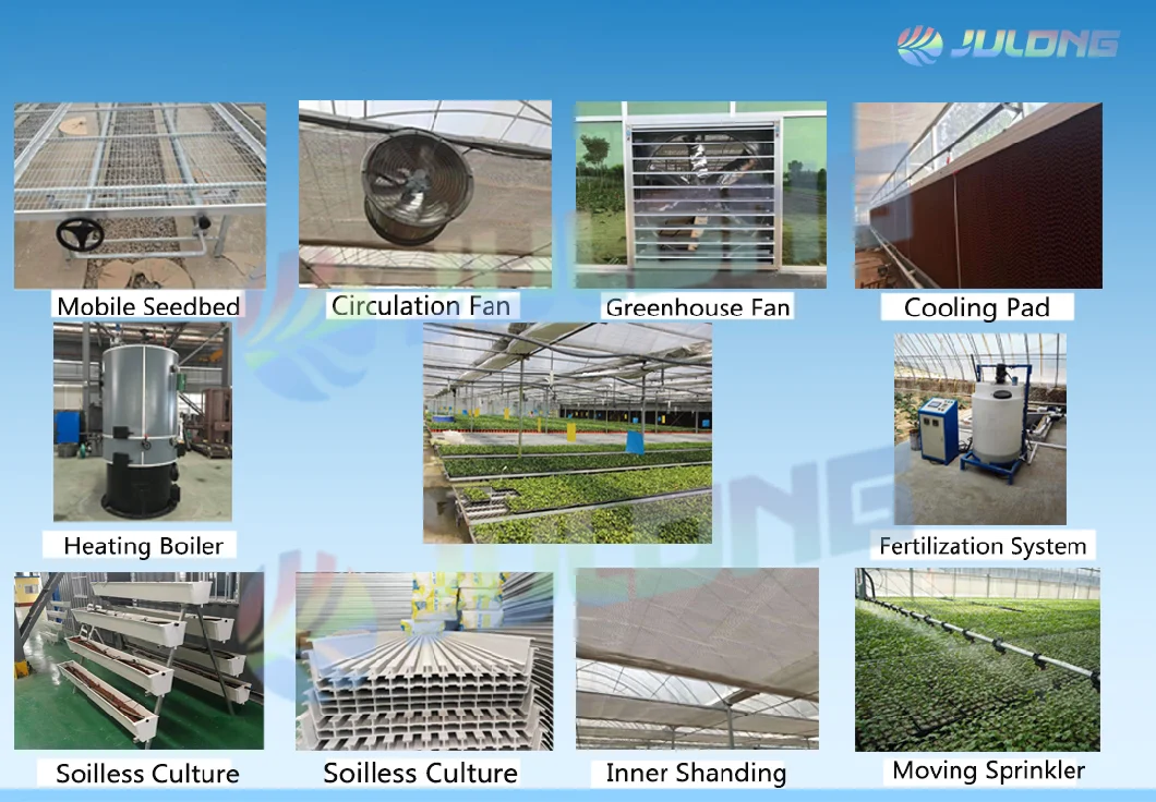 Intelligent Control Plastic Film Greenhouse Multi Span Greenhouse Supplies