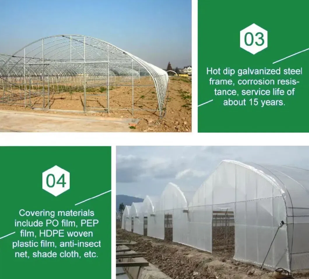 Glass Greenhouse, Intelligent Greenhouse, Flower Shed, Vegetable Galvanized, Sunshine Linkage Greenhouse Manufacturer Supply