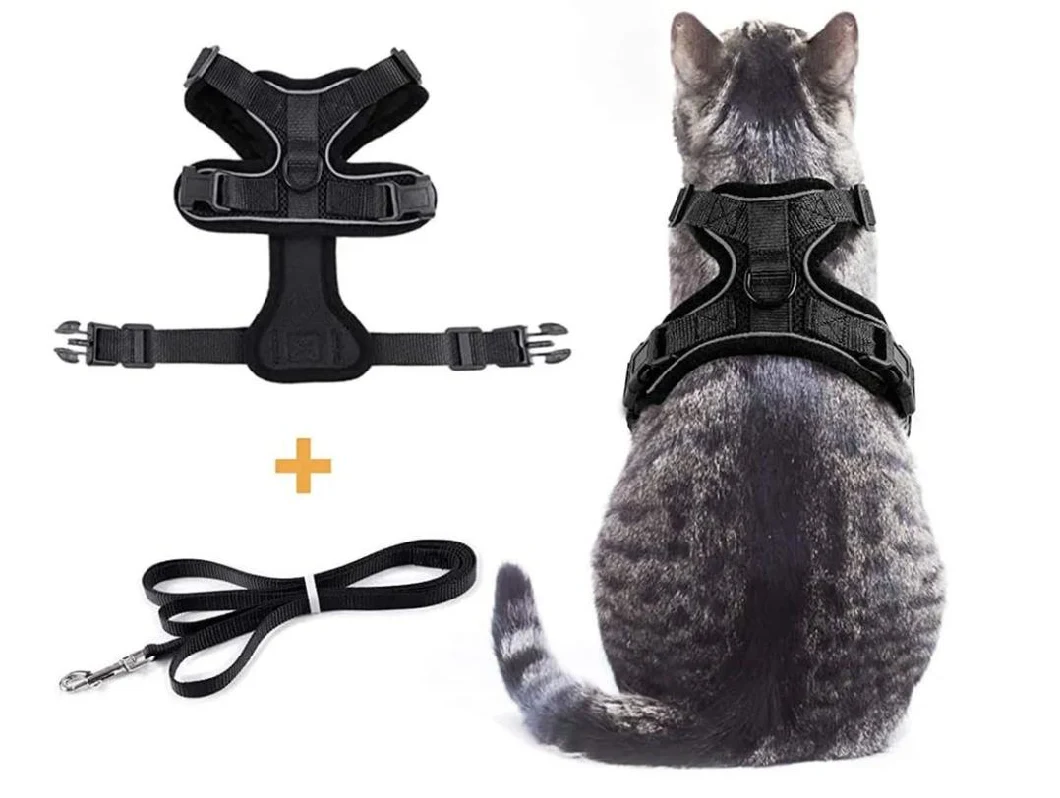 Custom Adjustable Cat Harness Set Breathe Freely Reflective Cat Vest and Leash
