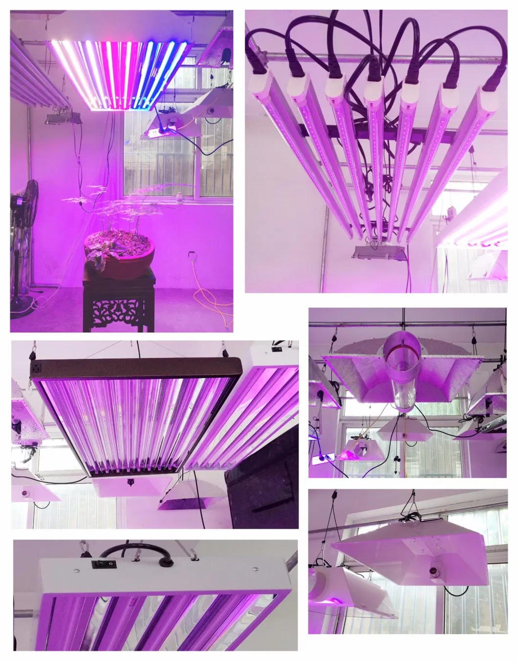 Lp Series 10 Full Spectrum Hydroponic Vertical Farming System Full Spectrum Flowering Bars LED Grow Light for Indoor Weed Medical Plant