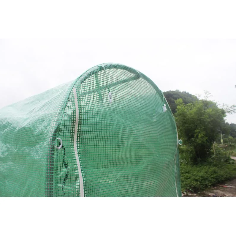 Hot Sale Tomato Household Small Portable PE Covering Garden Greenhouse