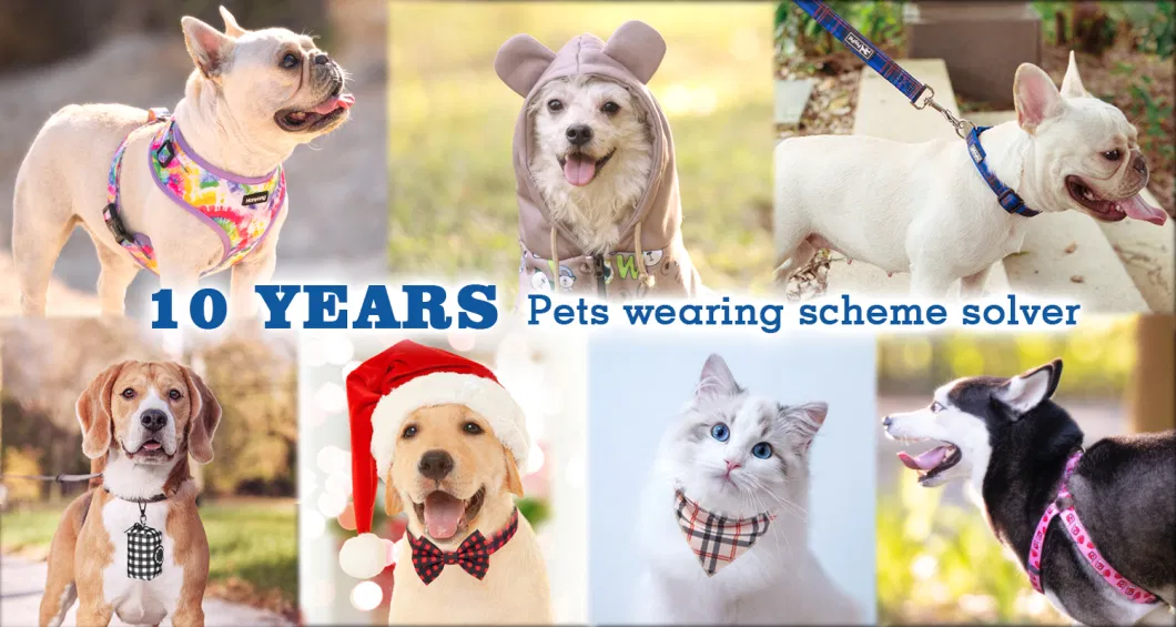 Hanyang Custom Logo Reflective Reversible Luxury Pet Dog Vest Collars Harness and Leash Set Dog Harness with Bow Tie Bandana