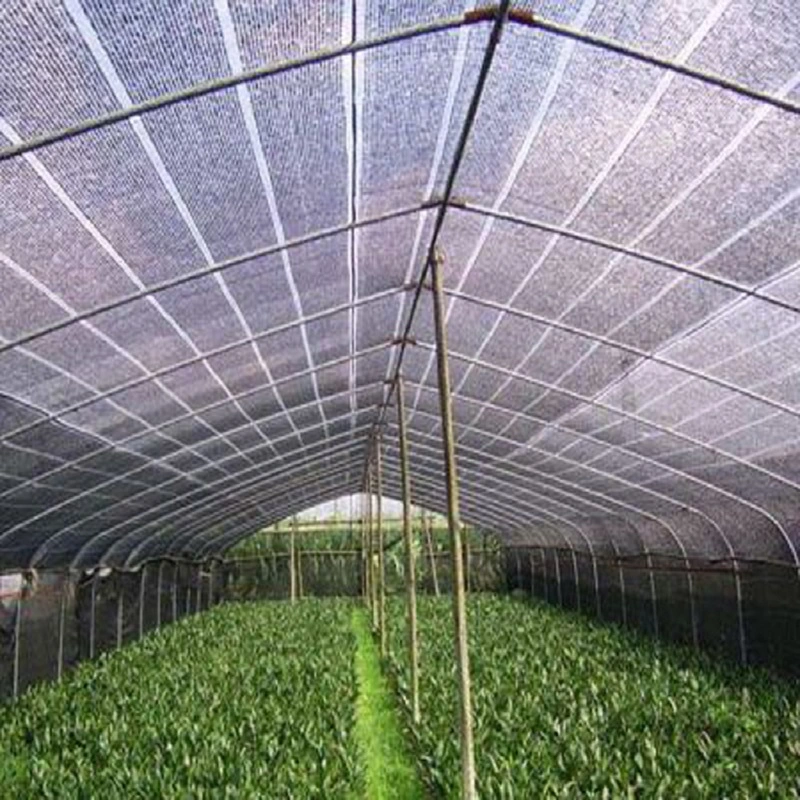 Agricultural Greenhouse Shade Net for Courtyard Roof Sun Aging Coloured Shade Netting