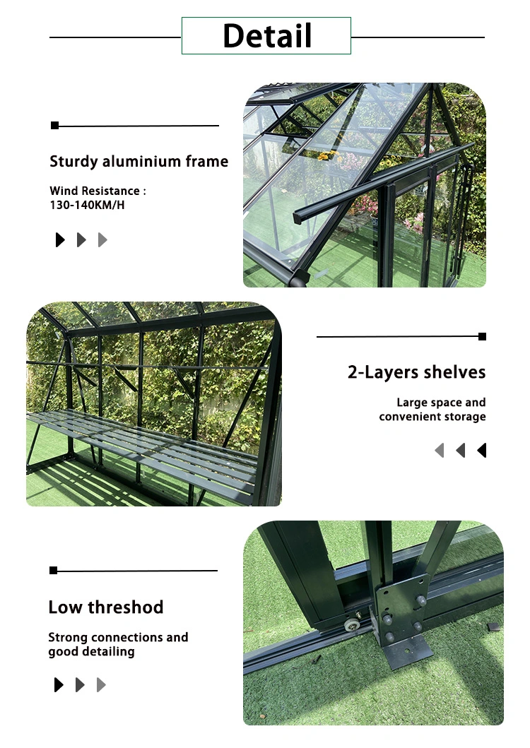 Geodesic Dome Polyhouse Agriculture 10X20 Grow Light Steel Galvanized Iron Pop up Chinese Kit Film Greenhouse