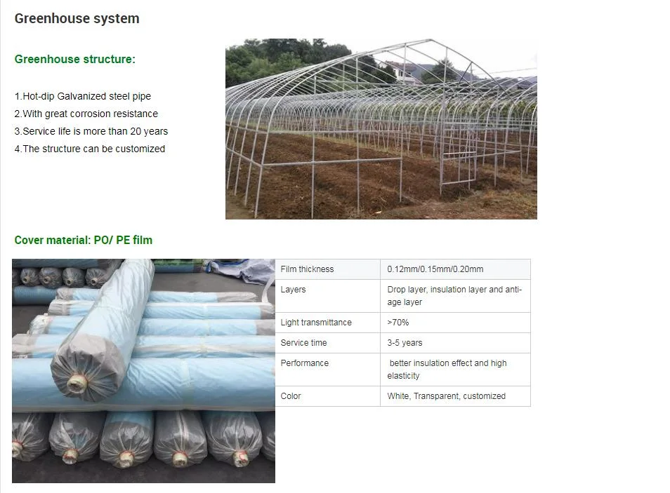 Factory Outlet Single-Span Film Garden Greenhouse in Yard