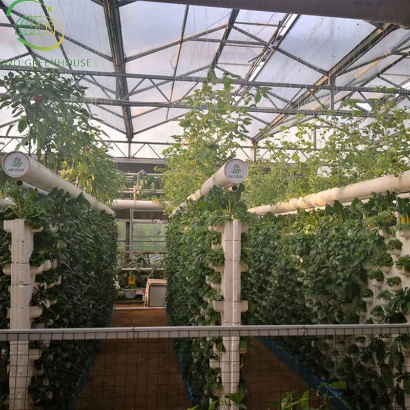 Indoor Hydroponic System Greenhouse with PVC Pipe for Green Leaf Vegetables