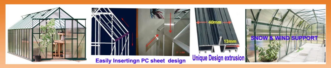 Fast Assembly Aluminium Greenhouse Waterproof Polycarbonate Garden Flower Green House (RDGU0812-6mm)