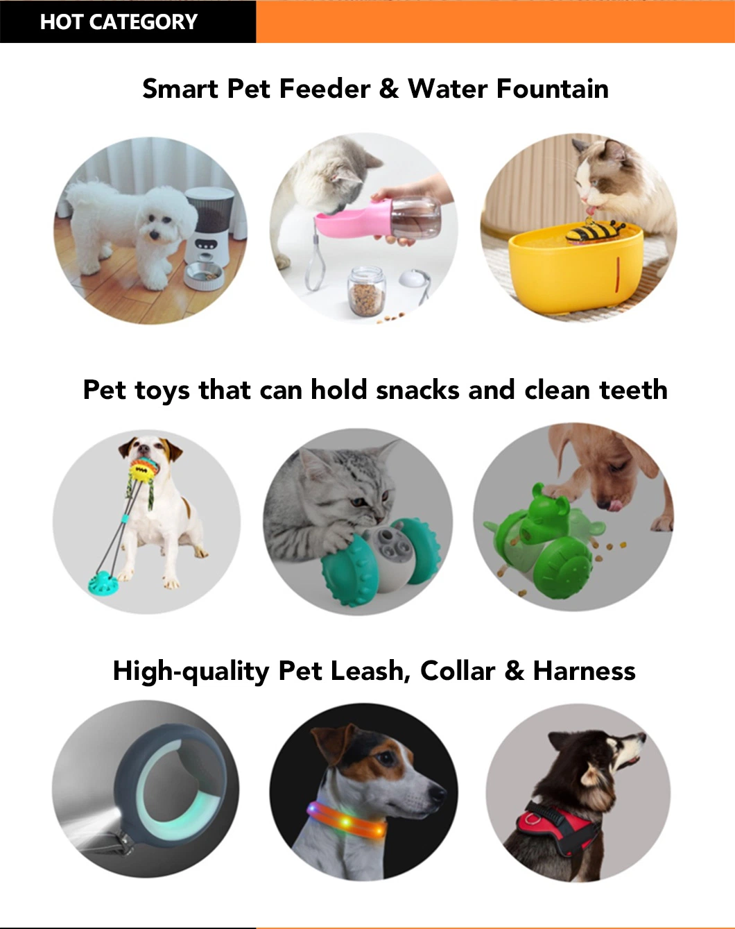Pet Harness Kit Pet Dog Poop Bag Dispenser Harness Leash