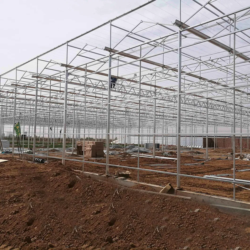 High Quality Venlo PC Greenhouse for Hydroponic Vegetables Planting