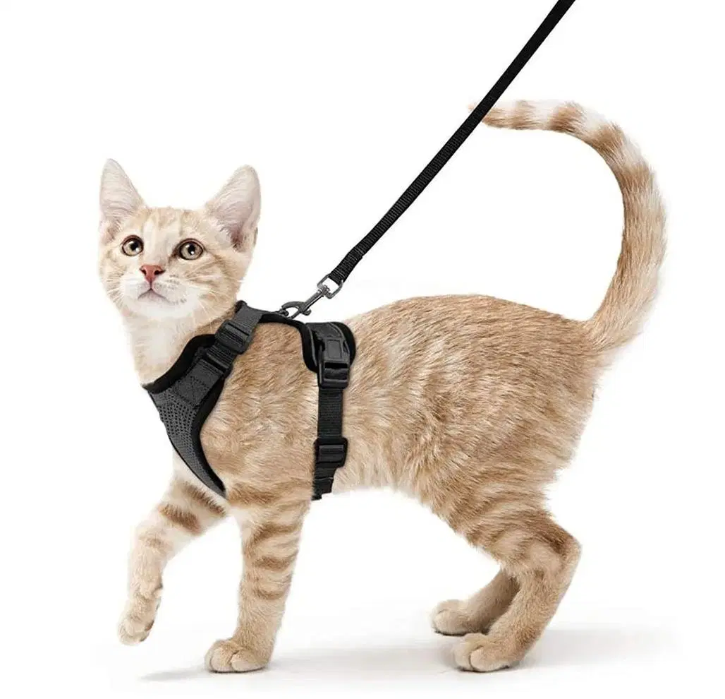 Custom Adjustable Cat Harness Set Breathe Freely Reflective Cat Vest and Leash