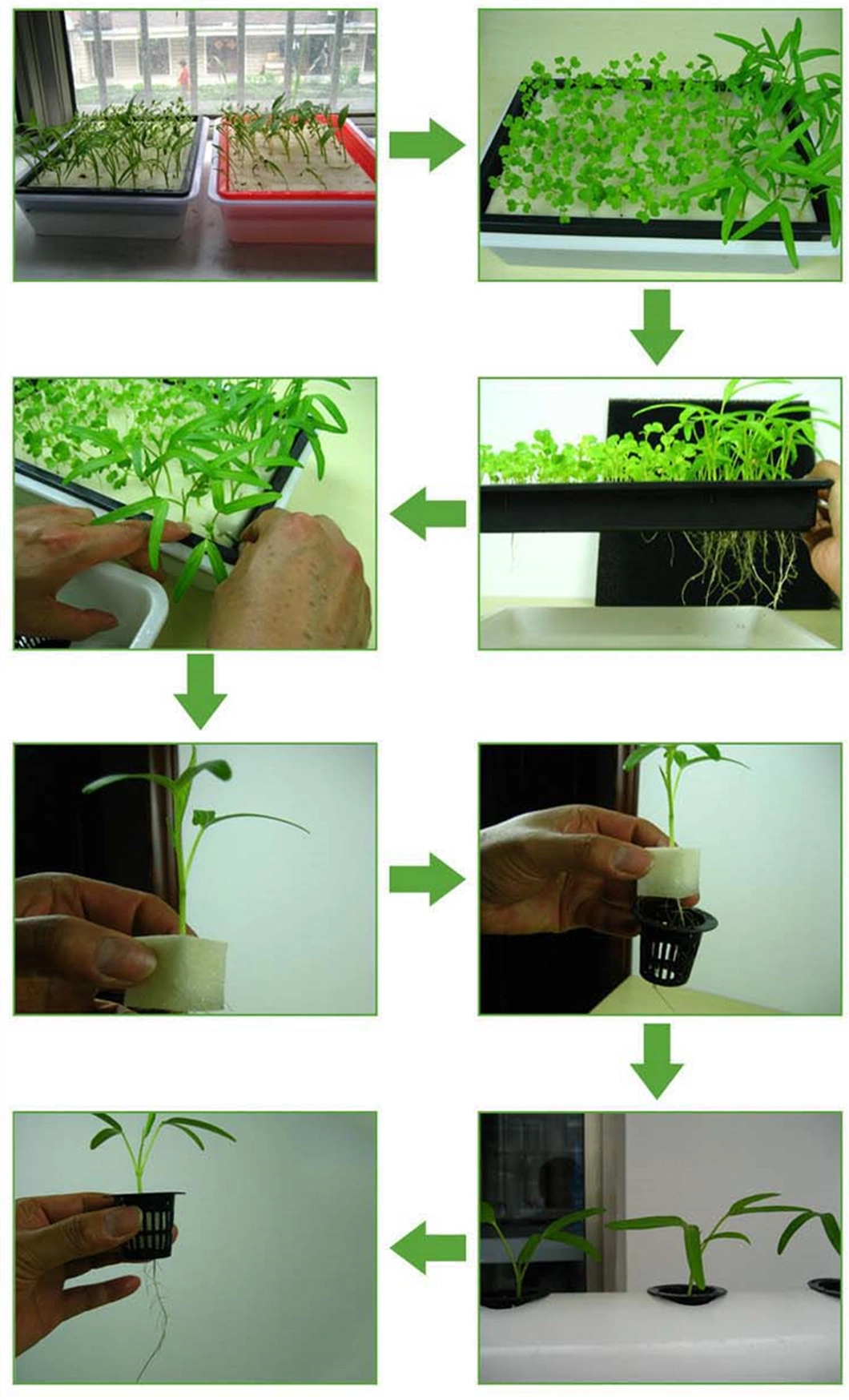 Garden Indoor DIY Hydroponic System Vertical Grow Tower for Lettuce/Celery/Vegetable/Crops Aeroponics Growing