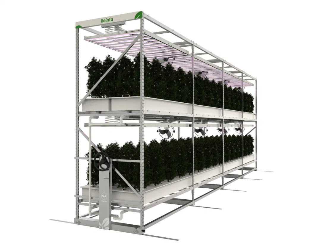 Vertical Farm Rack System Aeroponic Cultivation No Soil Less Water Indoor Smart Farm