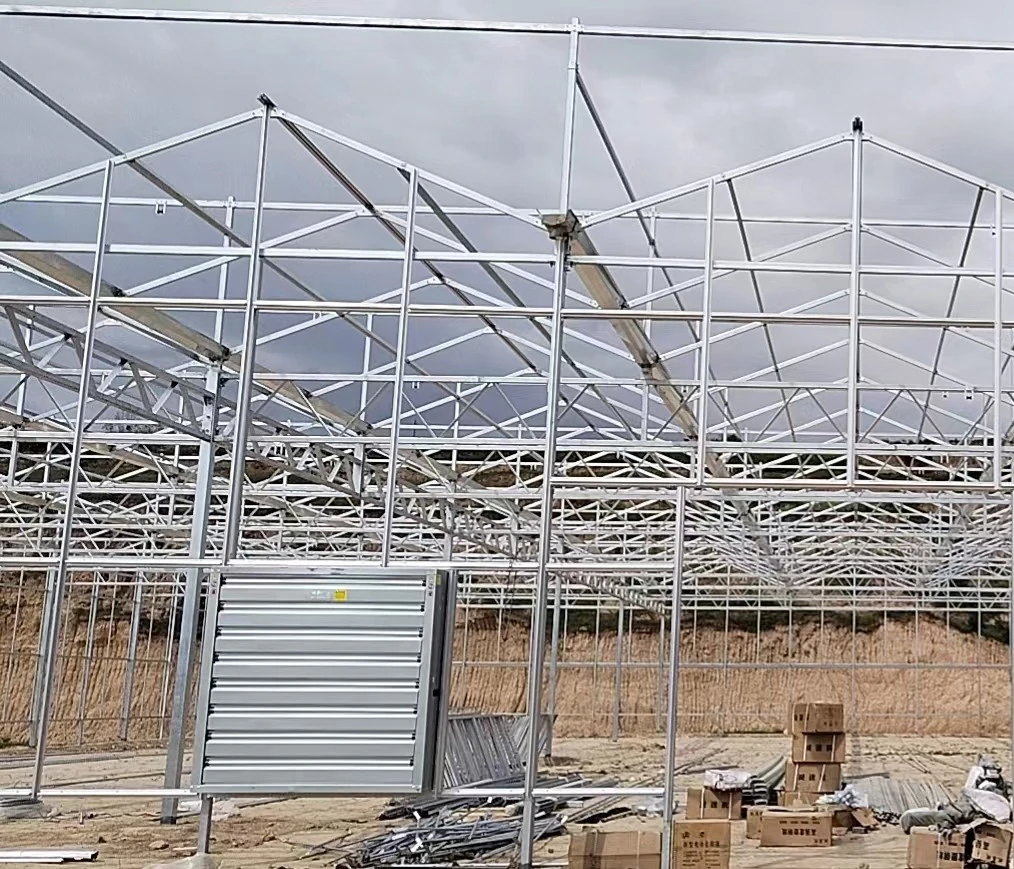 Hot DIP Galvanized Steel Multi Span Glass Greenhouse