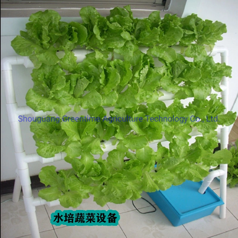 Hydroponic Horticulture Garden Indoor Plant Growth for Clients