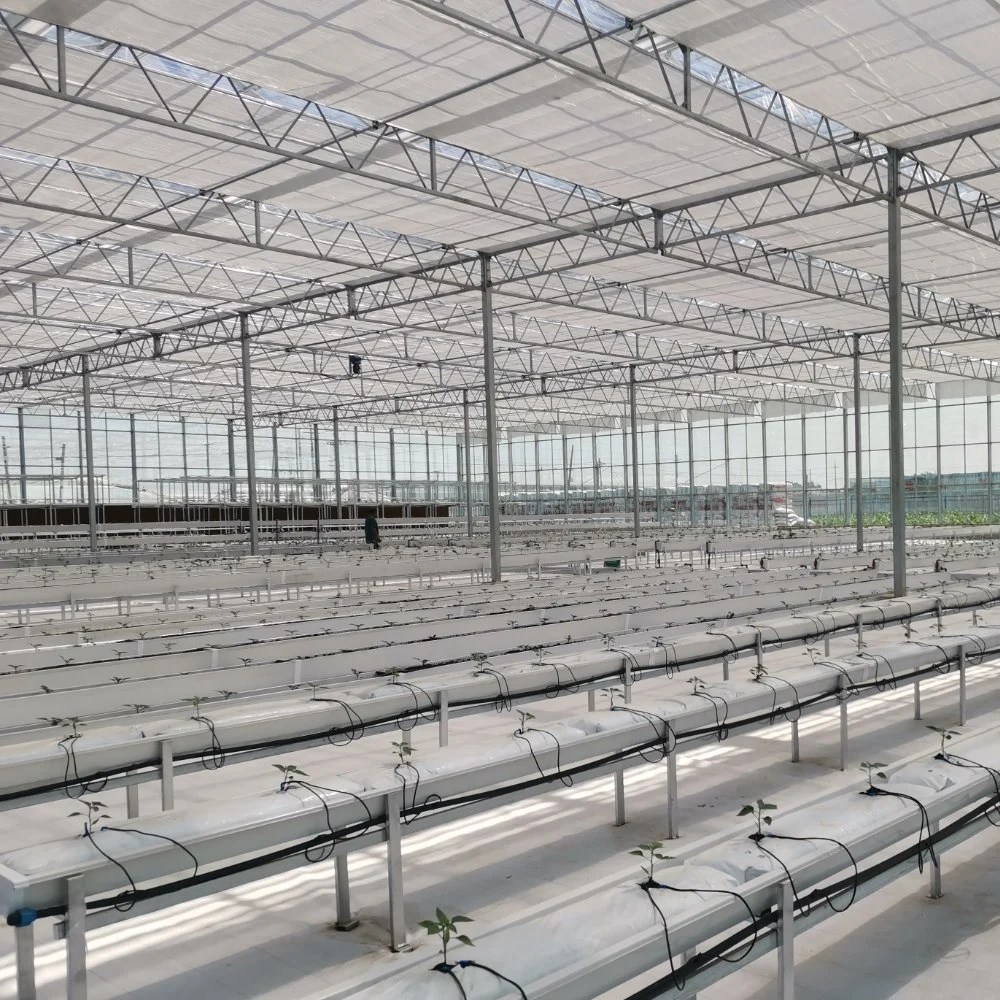 Agriculture/Commerce Multi Span Toughe Glass Green House for Vegetable/Flower/Fruits with Complete System/Hydroponic Systems/Automatic Irrigation System