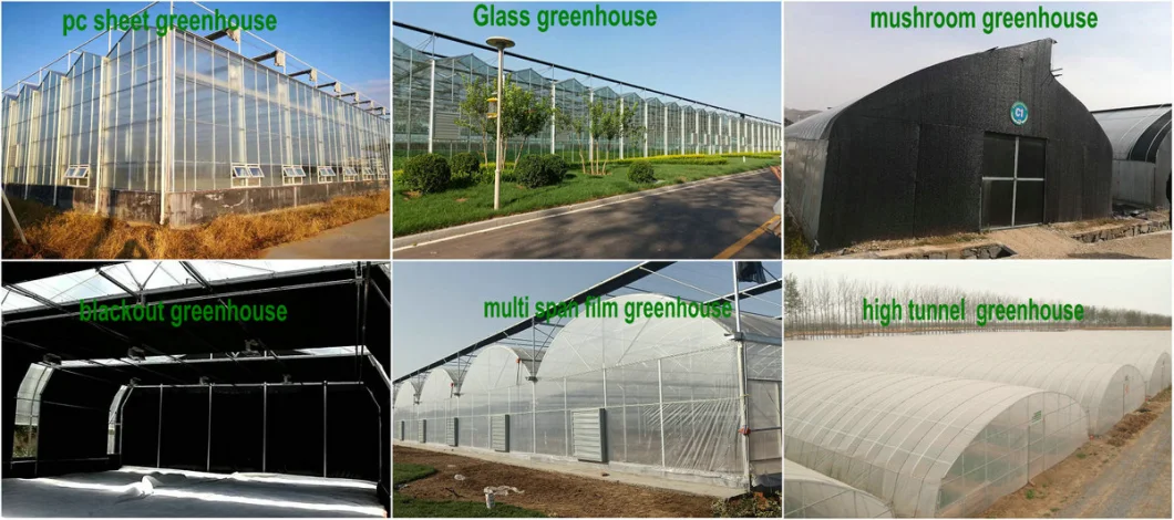 Hot Sale Vegetable Simple Hydroponic Mini Greenhouse Garden for Sale with PE Mesh Cover