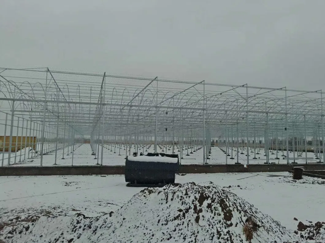 Plastics Cover Mini Greenhouse for Planting Vegetables