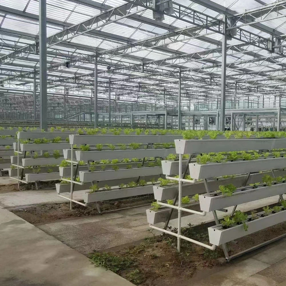 Plastic Greenhouse Agriculture with Strawberry PVC Strawberry Tables Grow Gutter