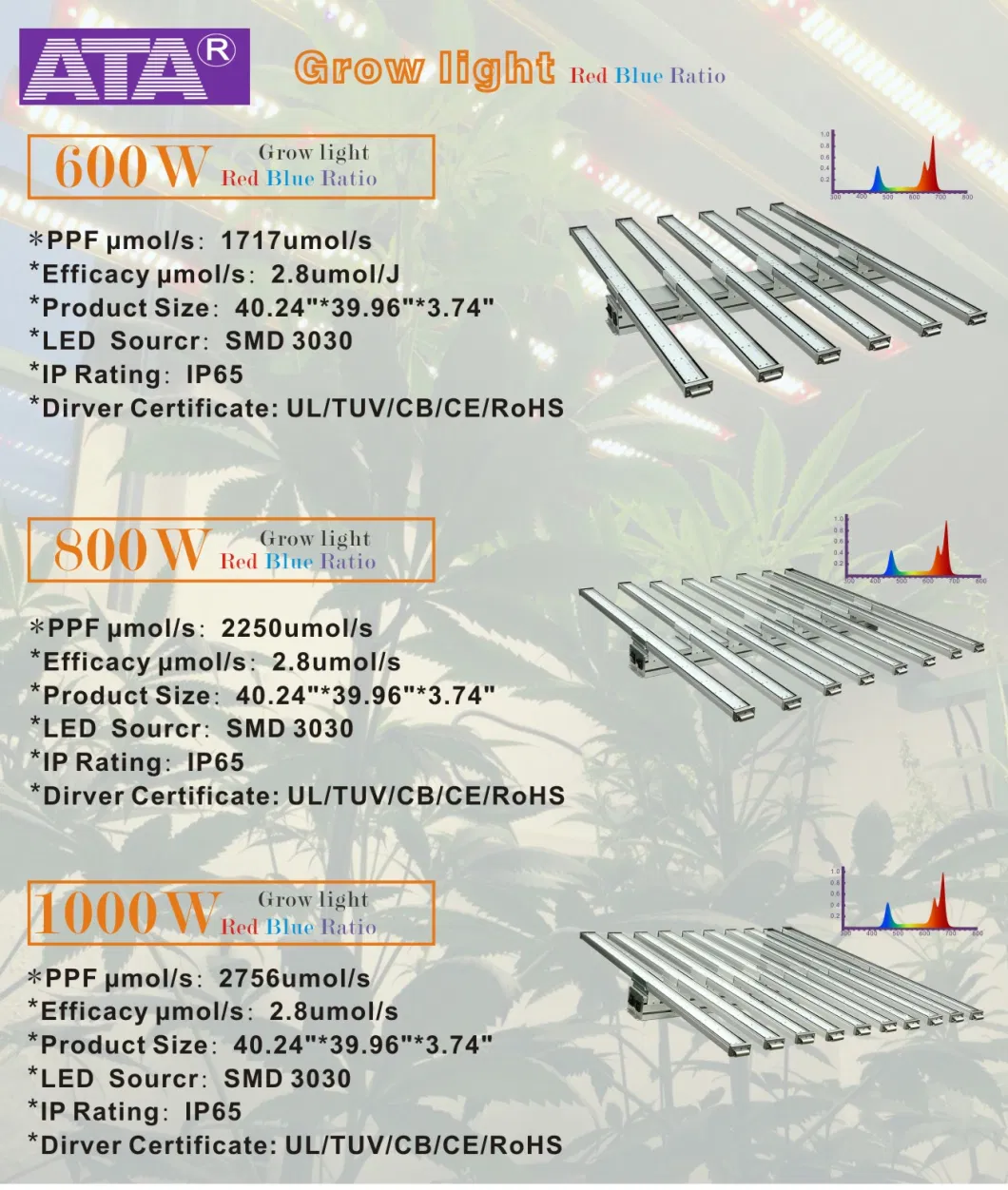 600W/800W/1000W Full Spectrum LED Plant Grow Light for Indoor Green House Hydroponic Plants Veg and Flower