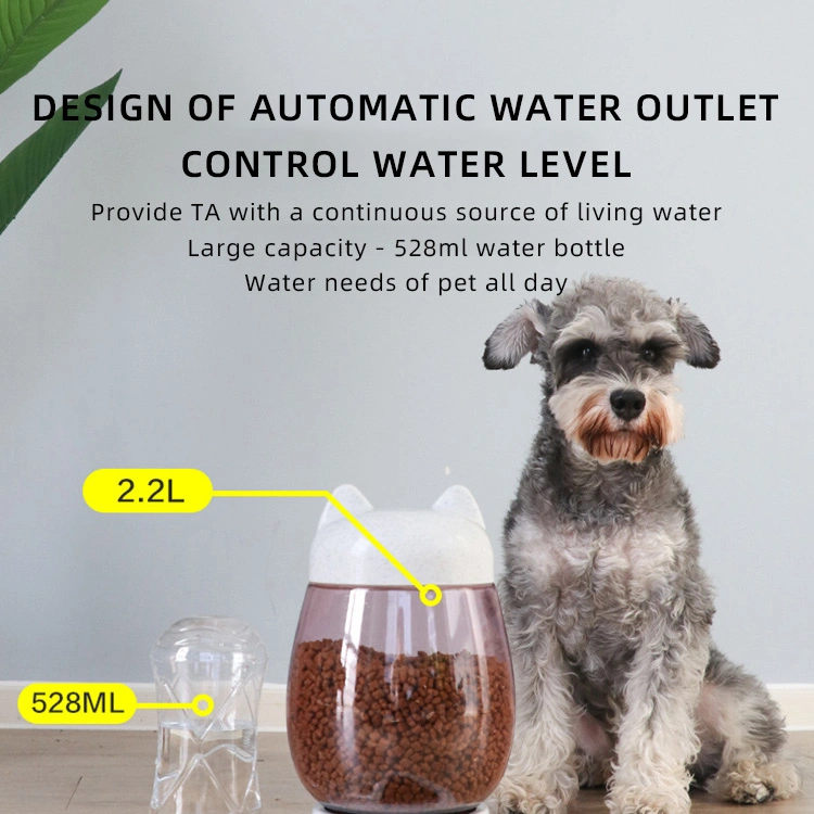 Pet Cat Dog Water and Food Bowl Set Separate Double Automatic Feeder Water Dispenser