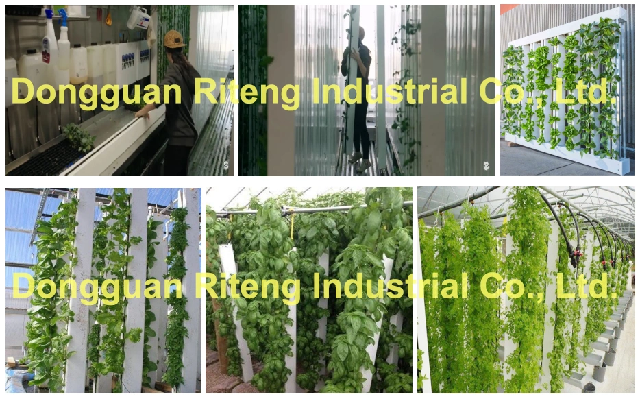 PVC Growing Gutter in Greenhouse/Hydroponic Lettuce Gutter Systems