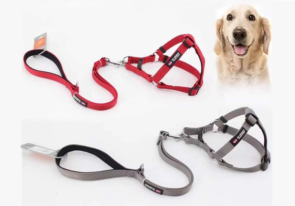 Pet Walking Kit Dog Adjustable Pet Collar Leash Set Chest Strap Teddy Chain Dog Leash
