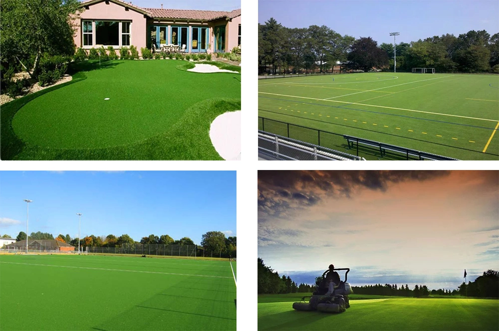 Garden Ornaments Lying on The Real Lawn Synthetic Grass Carpet