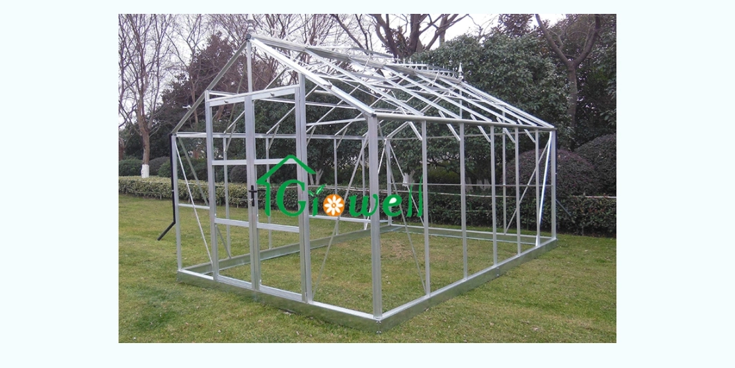 Growell 4mm Polycarbonate Panel Walk-in Hobby Garden Greenhouse (P6) 6&prime; X 8&prime;