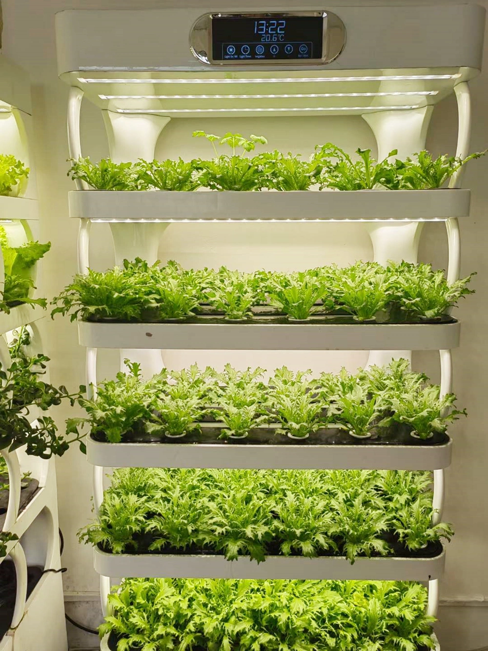 Agricultural Hydroponic System Smart Home Vertical Farming Indoor Hydroponics System for Lettuce