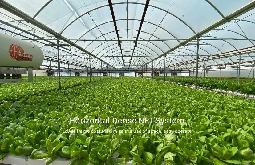 2023 Indoor Vertical Mart Hydroponic Growing Systems Farming Nft Hydroponics Systems