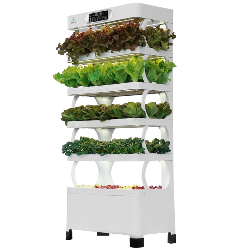 Agricultural Hydroponic System Smart Home Vertical Farming Indoor Hydroponics System for Lettuce